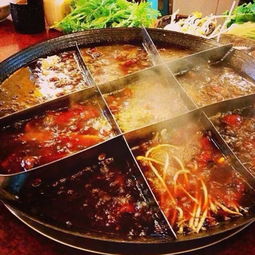 九肴涮 以良心为本，用美味与健康滋养每一刻